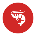 Tôm Giống Nam Mỹ
