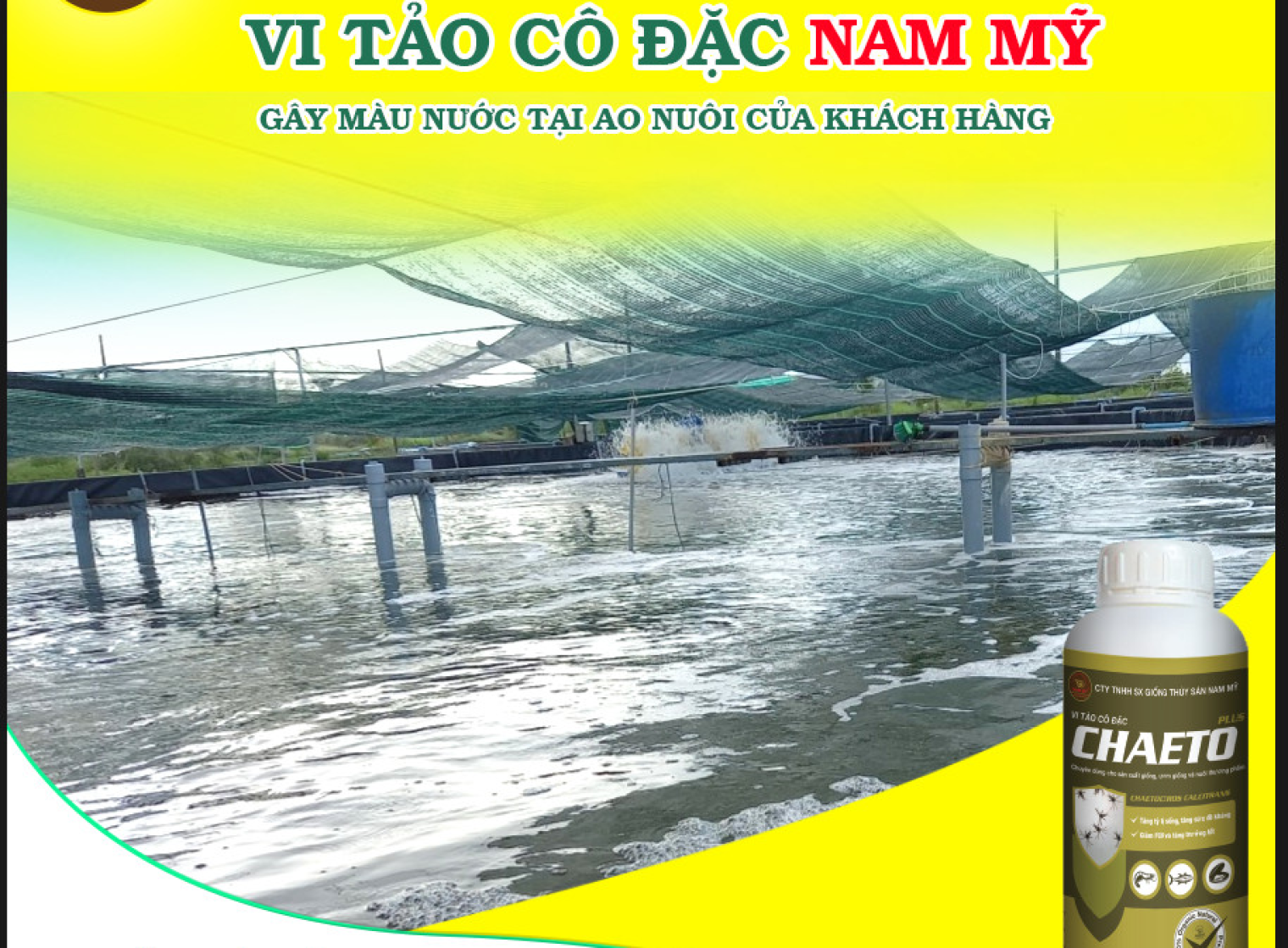 HIỆU QUẢ CỦA  DÒNG VI TẢO CÔ ĐẶC NAM MỸ CHAETO PLUS