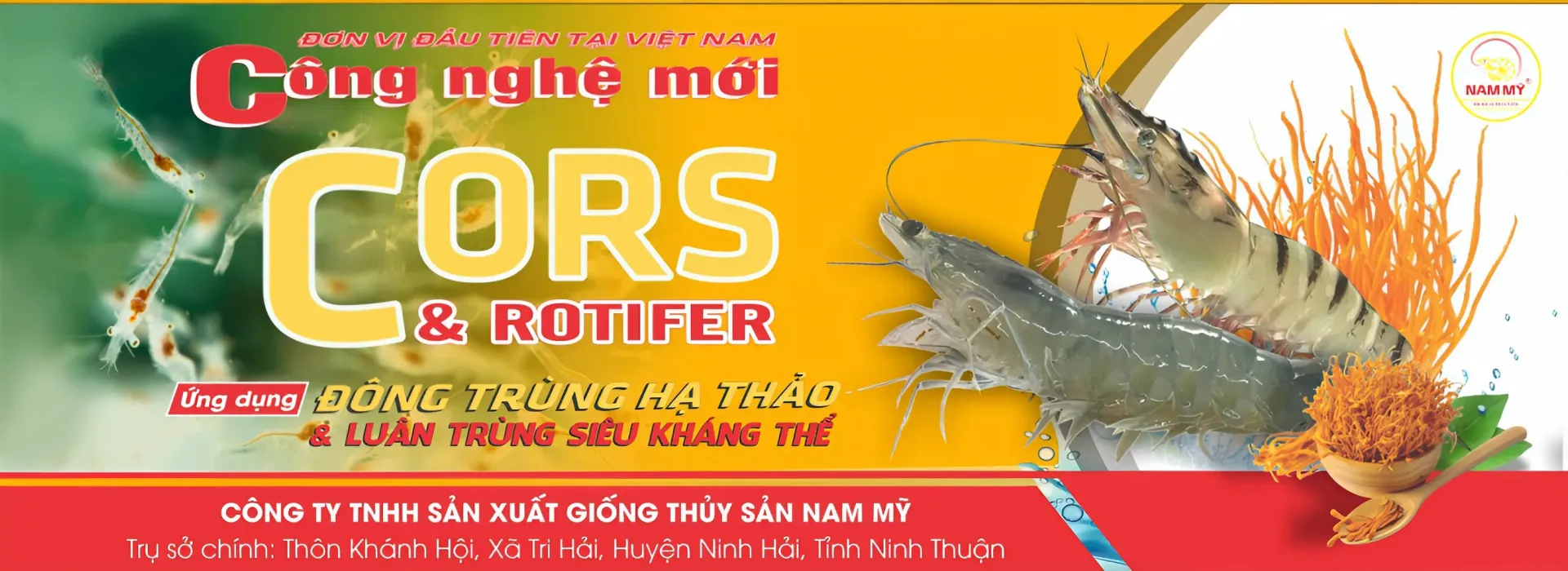 Ảnh bìa Tôm giống Nam Mỹ CORS VƯỢT TRỘI 2023