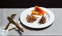 Giá trị của côn trùng và tôm trong thực phẩm chức năng mới