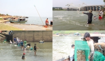 Đồng Nai: Người dân trúng đậm khi nước hồ Trị An xuống thấp