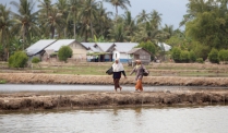 Indonesia muốn hợp tác nuôi trồng thủy sản với Việt Nam