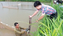 Một số giải pháp phòng, chống dịch bệnh thủy sản trong mùa mưa bão