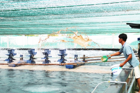Phòng ngừa rủi ro, dịch bệnh thủy sản nuôi trong mùa mưa bão