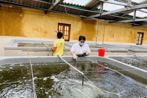 Hướng dẫn kỹ thuật nuôi tôm nước lợ thâm canh, bán thâm canh