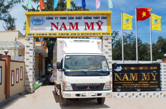 TÔM BỐ MẸ ĐẺ TỰ NHIÊN TẠI NAM MỸ