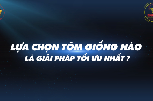 CÔNG NGHỆ MỚI HƠN CẢ VƯỢT TRỘI _ TÔM GIỐNG NAM MỸ