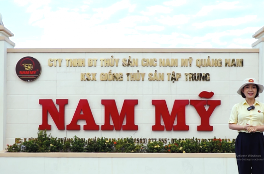 Tổng Quan Nam Mỹ Quảng Nam Group 2022