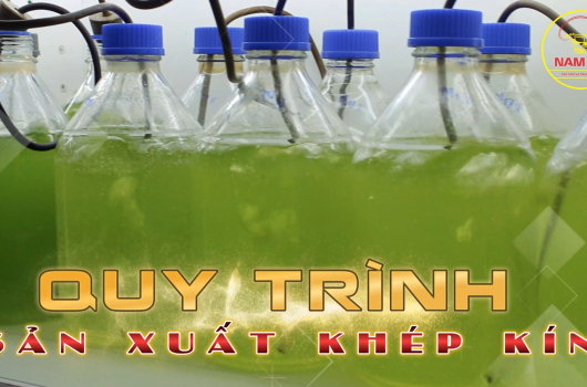TVC SIÊU TẢO CÔ ĐẶC NAM MỸ
