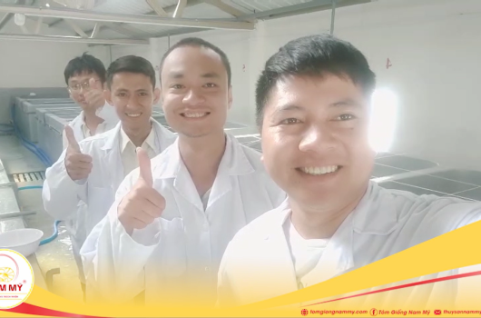 Trãi nghiệm của Khách hàng khi đến tham quan trại sản xuất Nam Mỹ Quảng Nam
