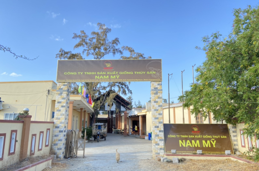 TGĐ THĂM FARM NUÔI TÔM THƯƠNG PHẨM NAM MỸ NINH THUẬN THÁNG 5.2021