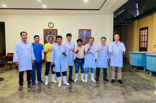 NAM MỸ KẾT HỢP TẬP ĐOÀN GROBEST HỢP TÁC CÙNG PHÁT TRIỂN