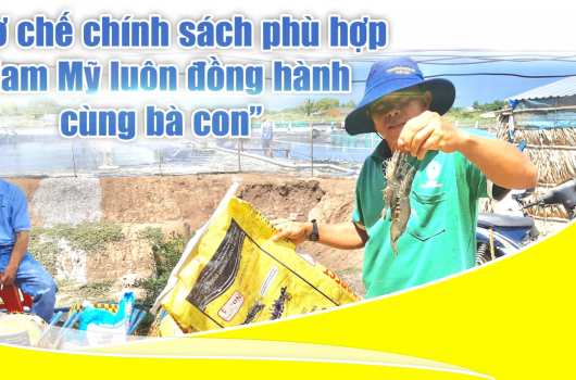 Quảng Nam chính thức tung Post Tôm giống Nam Mỹ đầu tháng 7 này