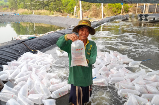 Thả tôm Nam Mỹ cho bà con Đồng Nai mùa tết 2022