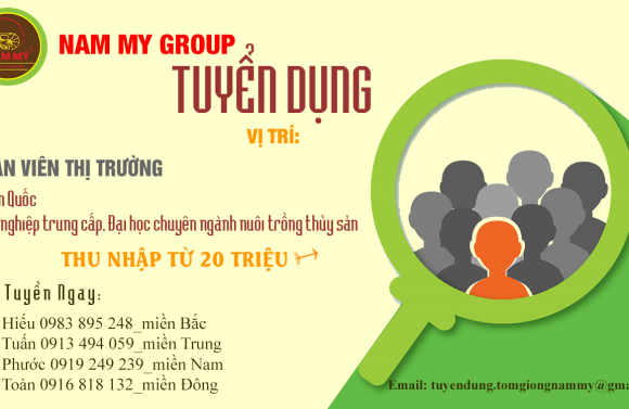 NAM MỸ TUYỂN DỤNG THÁNG 3/2022