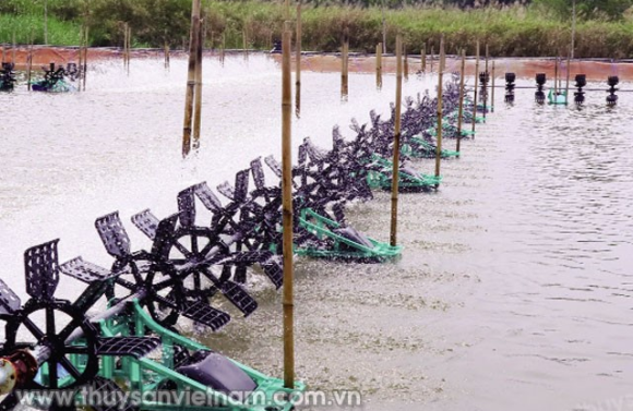 ĐẦU TƯ HỆ THỐNG NUÔI ĐẠT CHUẨN
