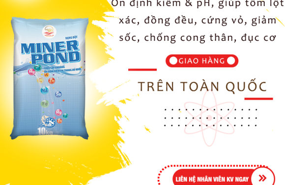 Thuốc thủy sản chống cong thân, đục cơ ở tôm hiệu quả nhất