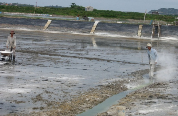 Kỹ thuật cải tạo ao nuôi tôm