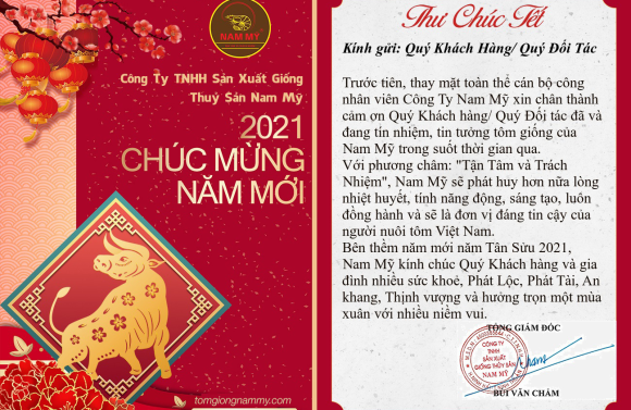 THƯ CHÚC TẾT