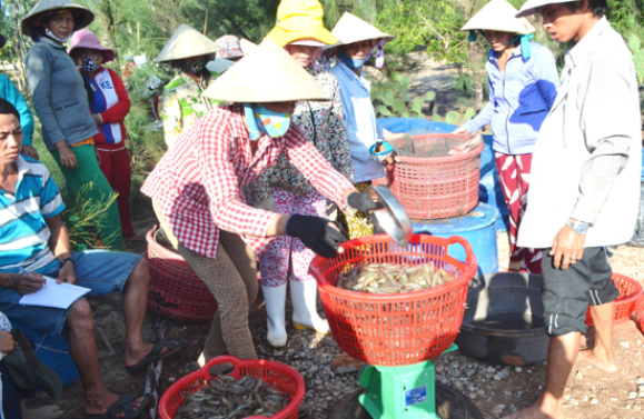 Chút sôi động từ cung cầu nội địa