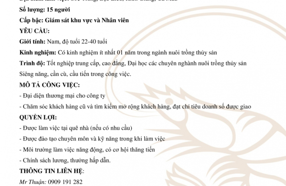 NAM MỸ TUYỂN DỤNG THÁNG 03/ 2021