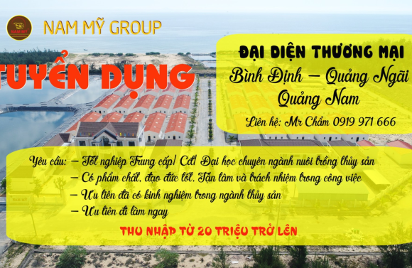 CẦN TUYỂN NHÂN VIÊN THỊ TRƯỜNG KHU VỰC BÌNH ĐỊNH, QUẢNG NAM, QUẢNG NGÃI