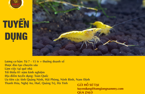 Tuyển dụng nhân viên kinh doanh toàn quốc