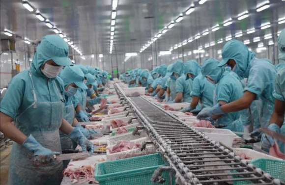 Nhu cầu tiêu thụ thủy sản được dự báo sẽ hồi phục mạnh mẽ