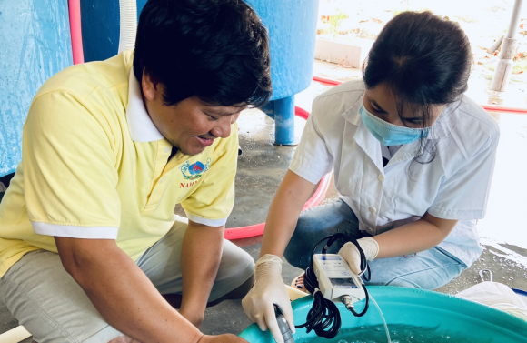 QUI TRÌNH NÂNG HẠ ĐỘ MẶN VÀ ĐÓNG TÔM NAM MỸ