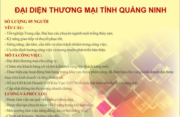 Nam Mỹ Tuyển dụng nhân tài bán hàng khu vực Quảng Ninh