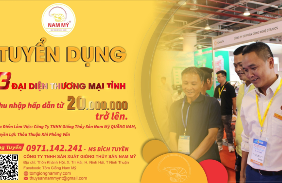 NAM MỸ QUẢNG NAM TUYỂN DỤNG 