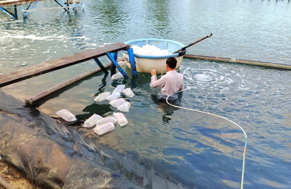 Một số yếu tố cần giám sát trong nuôi tôm