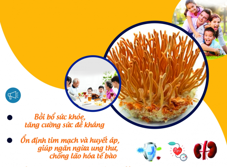 TÁC DỤNG CỦA ĐÔNG TRÙNG HẠ THẢO KHÔNG PHẢI AI CŨNG BIẾT